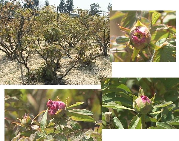 ���������R����