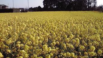 ���������R����