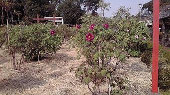 ���������R����