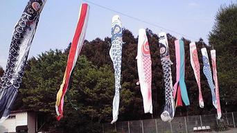 ���������R����