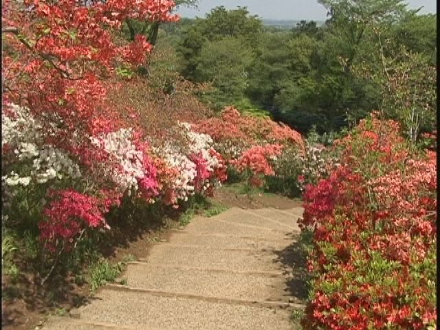 ���������R����