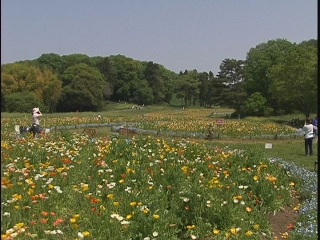 ���������R����