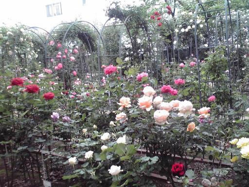 ���������R����