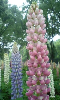 ���������R����