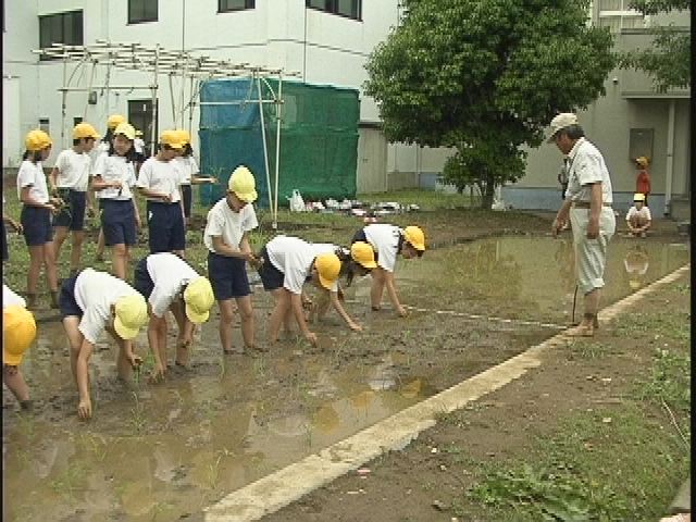 ���������R����