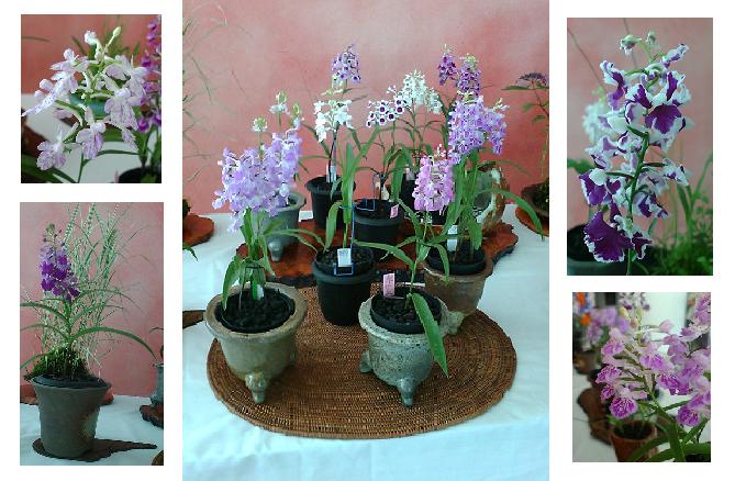 ���������R����