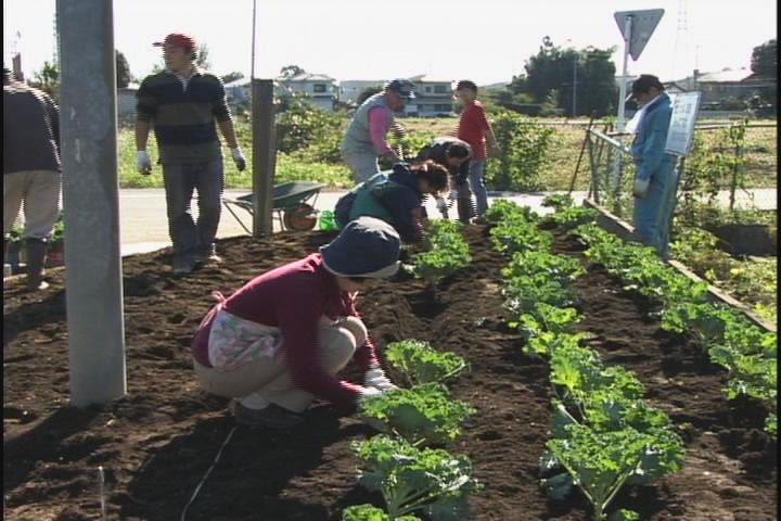 ���������R����