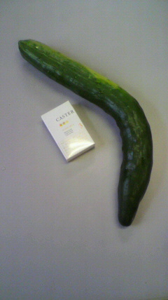 ���������R����