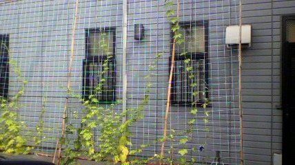 ���������R����