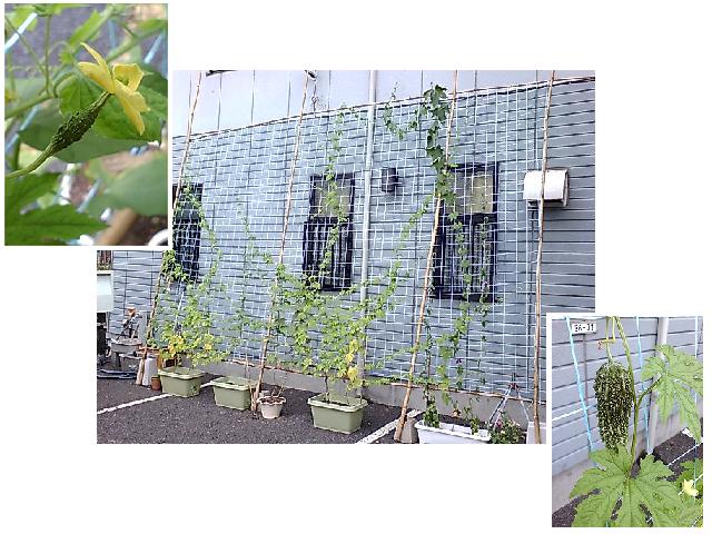 ���������R����