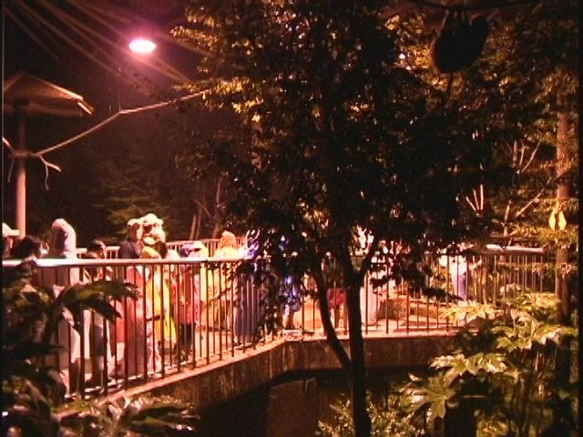 ���������R����