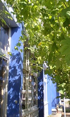 ���������R����