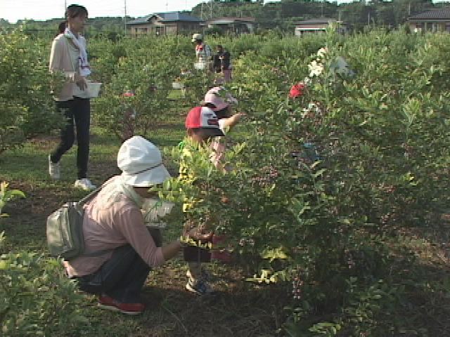 ���������R����