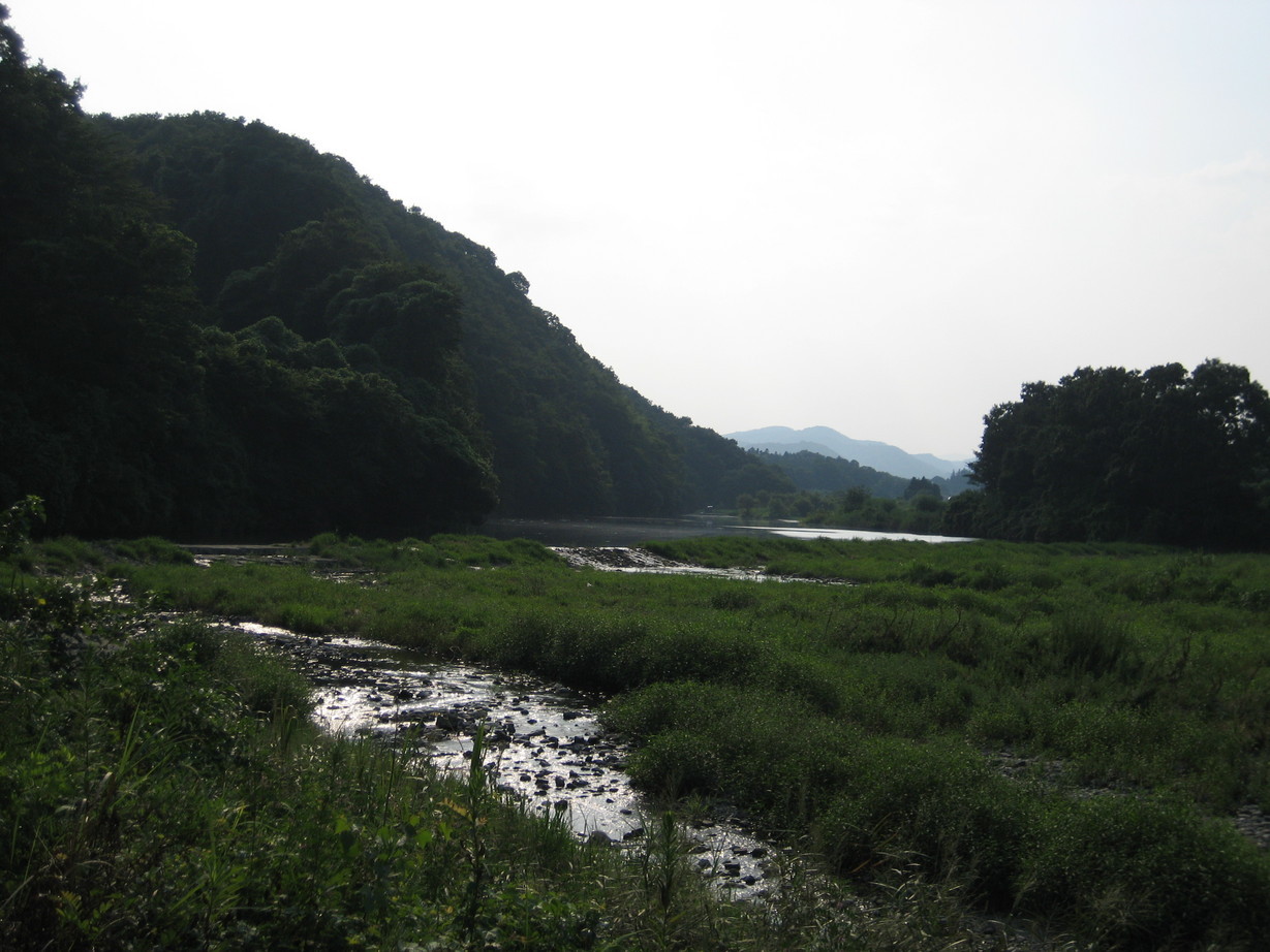 ���������R����