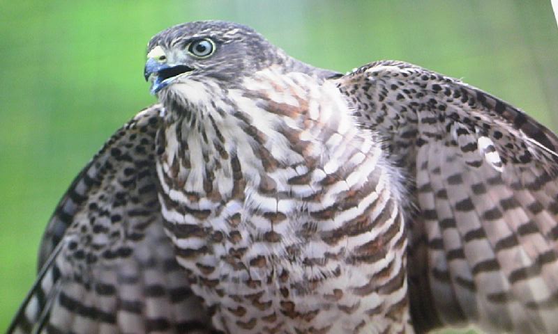 ���������R����