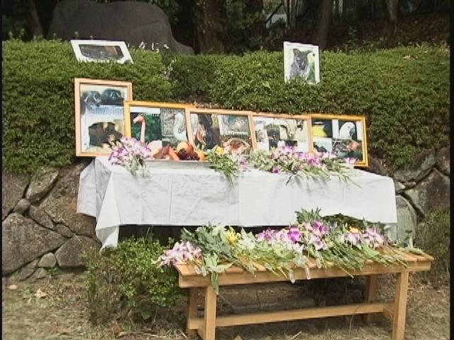 ���������R����