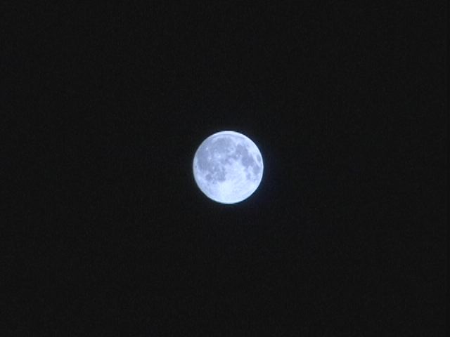 ���������R����