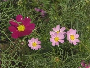 ���������R����