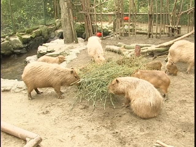 ���������R����