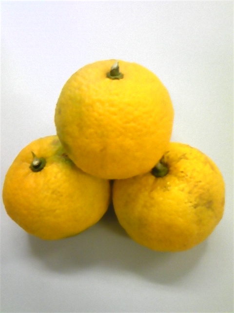 ���������R����