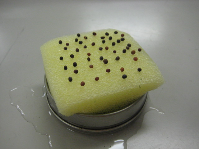 ���������R����