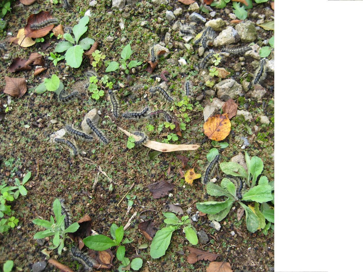 ���������R����