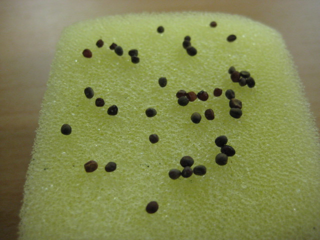 ���������R����