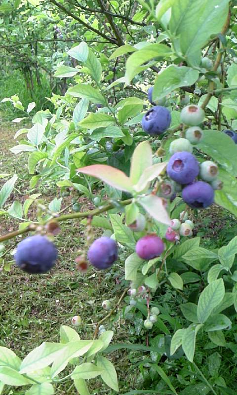 ���������R����