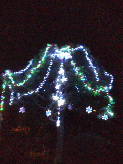 ���������R����