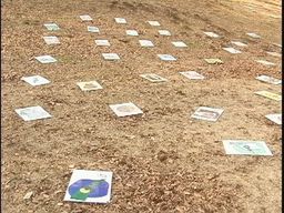 ���������R����