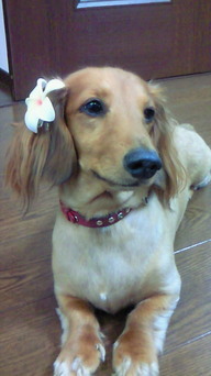 ���������R����