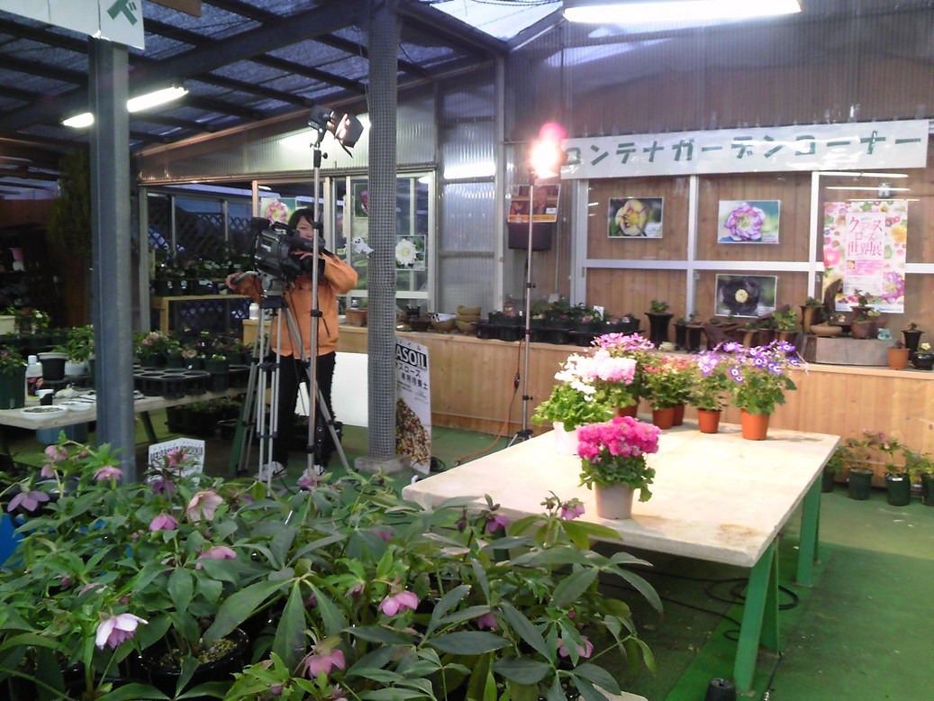 ���������R����