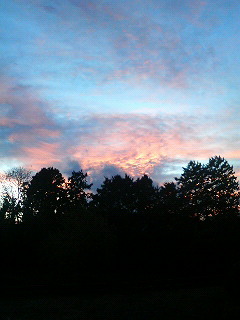 ���������R����