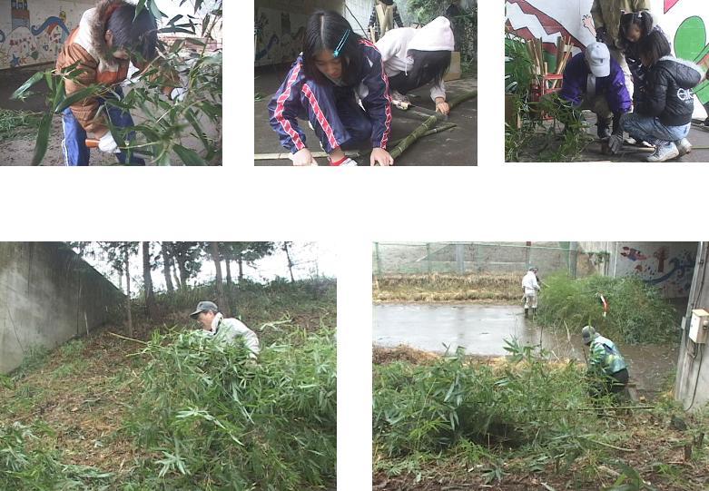 ���������R����