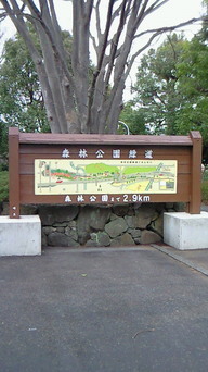 ���������R����