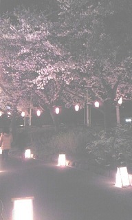 ���������R����