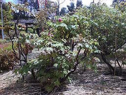 ���������R����