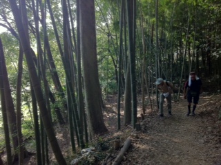 ���������R����