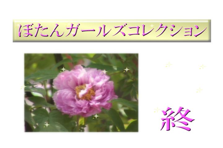 ���������R����