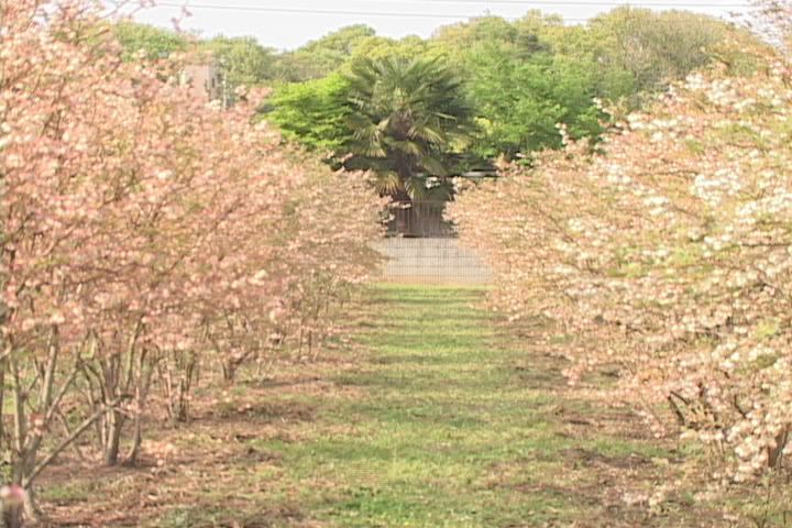 ���������R����