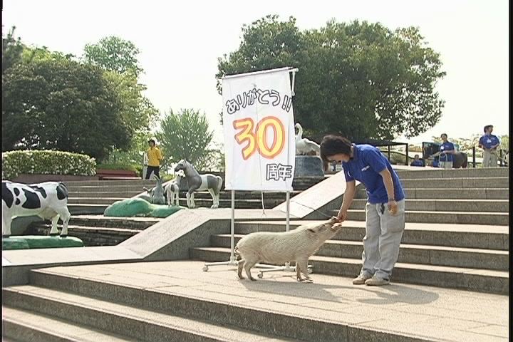 ���������R����