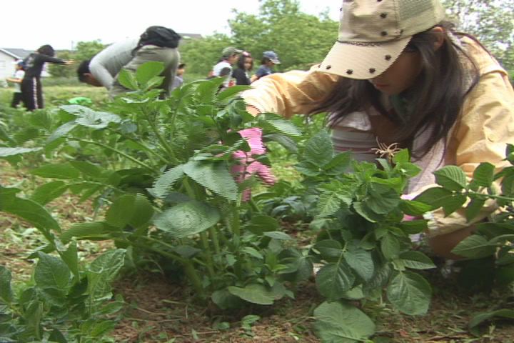 ���������R����