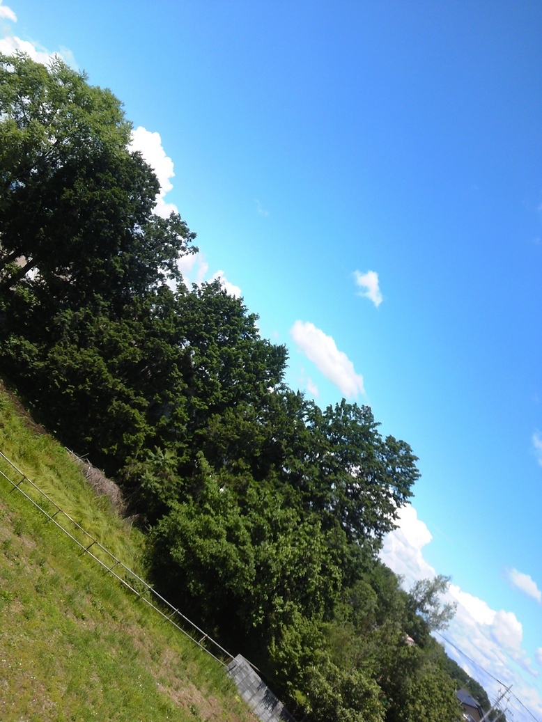 ���������R����