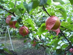 ���������R����