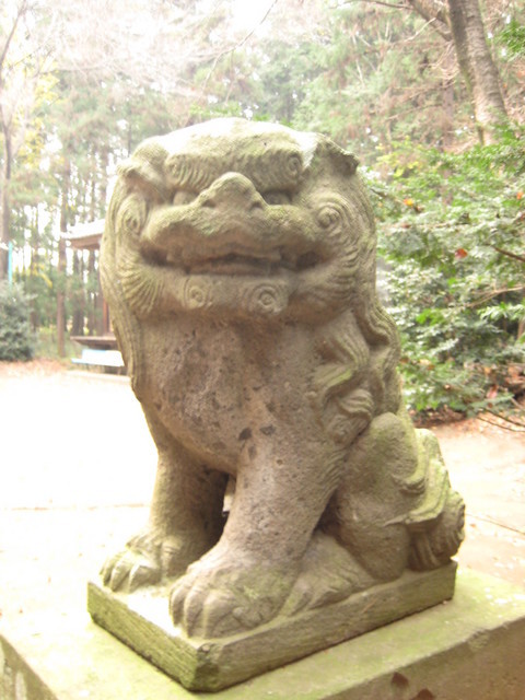 ���������R����