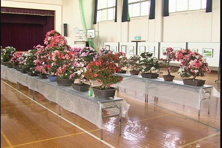 ���������R����