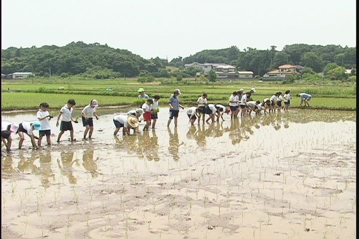 ���������R����