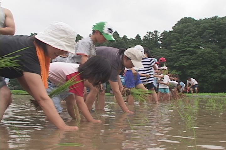 ���������R����