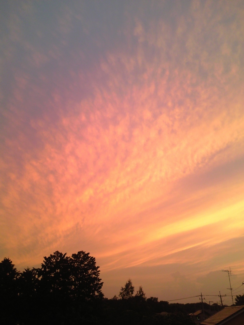 ���������R����