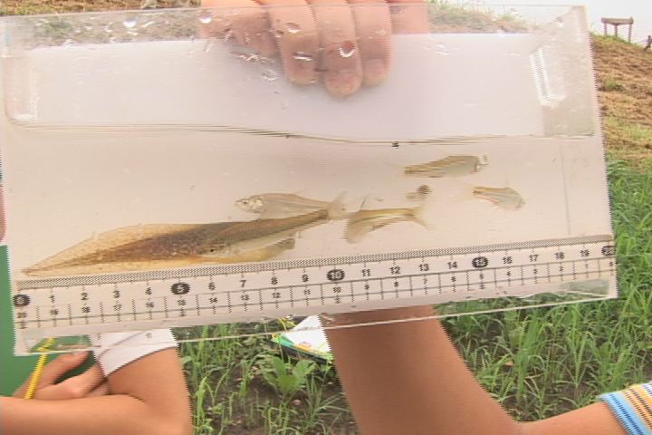 ���������R����